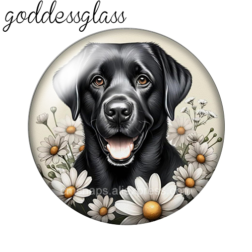 ‌ Anjing Lucu di antara Bunga  - Body Jewelry Top ulasan dan harga