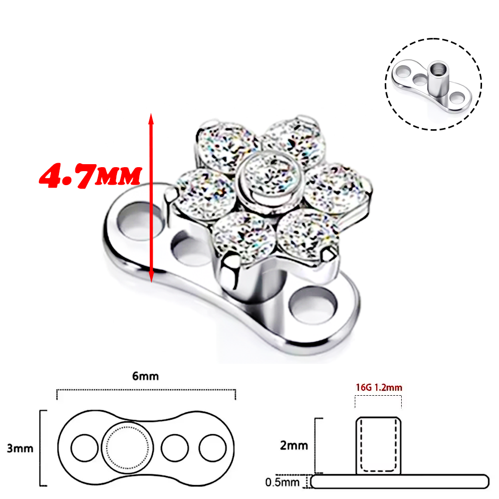 Perhiasan tindik tubuh tersemb - Body Jewelry Implant Grade Titanium ulasan dan harga